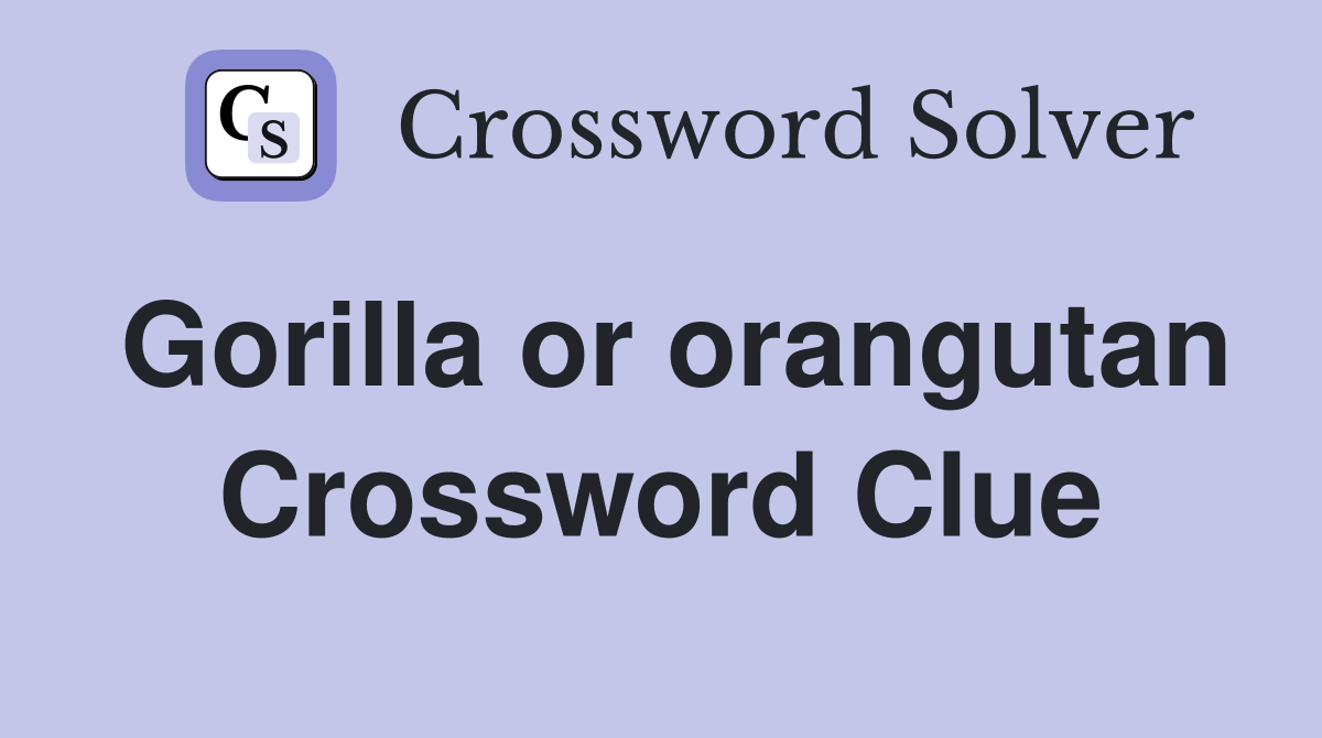 Gorilla or orangutan Crossword Clue