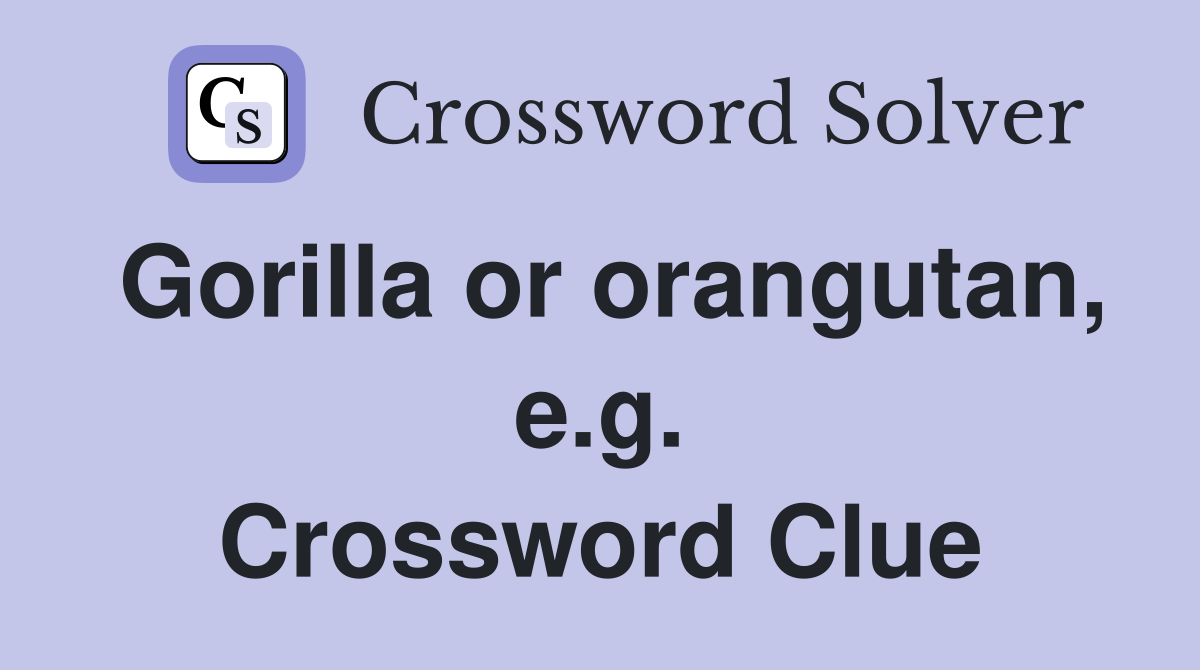 Gorilla or orangutan, e.g. Crossword Clue