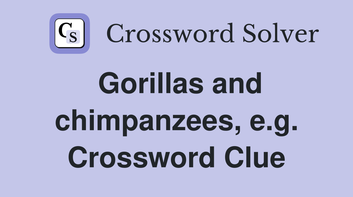 Gorillas and chimpanzees, e.g. Crossword Clue
