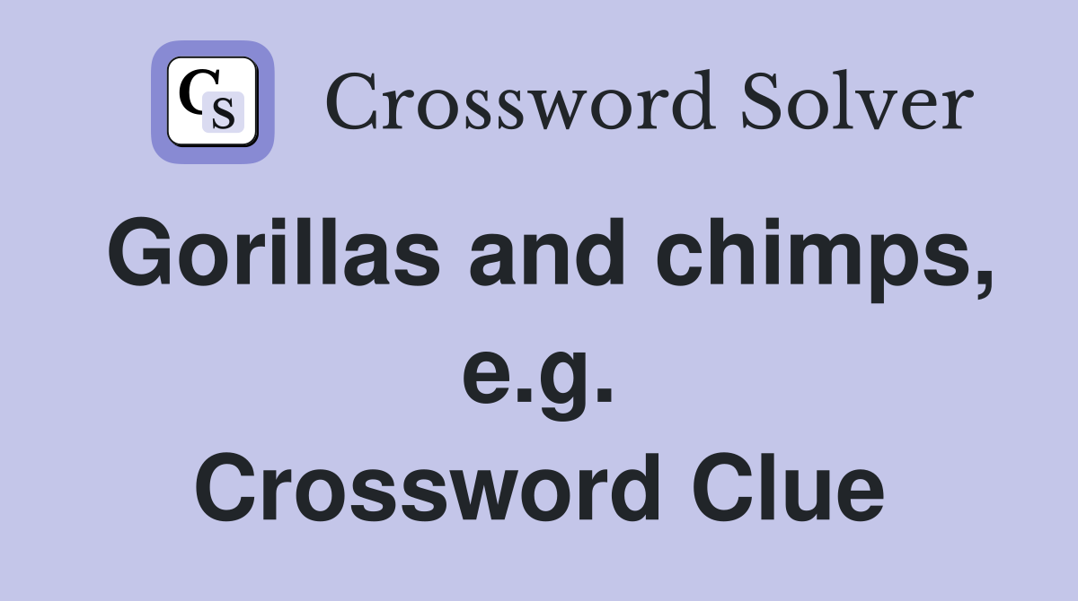 Gorillas and chimps, e.g. Crossword Clue