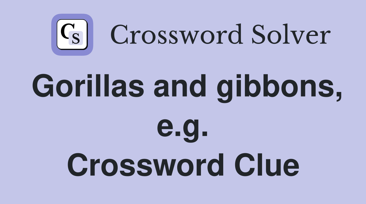 Gorillas and gibbons, e.g. Crossword Clue