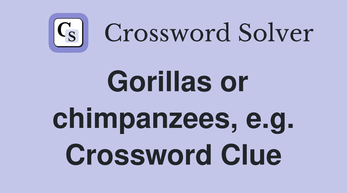 Gorillas or chimpanzees, e.g. Crossword Clue