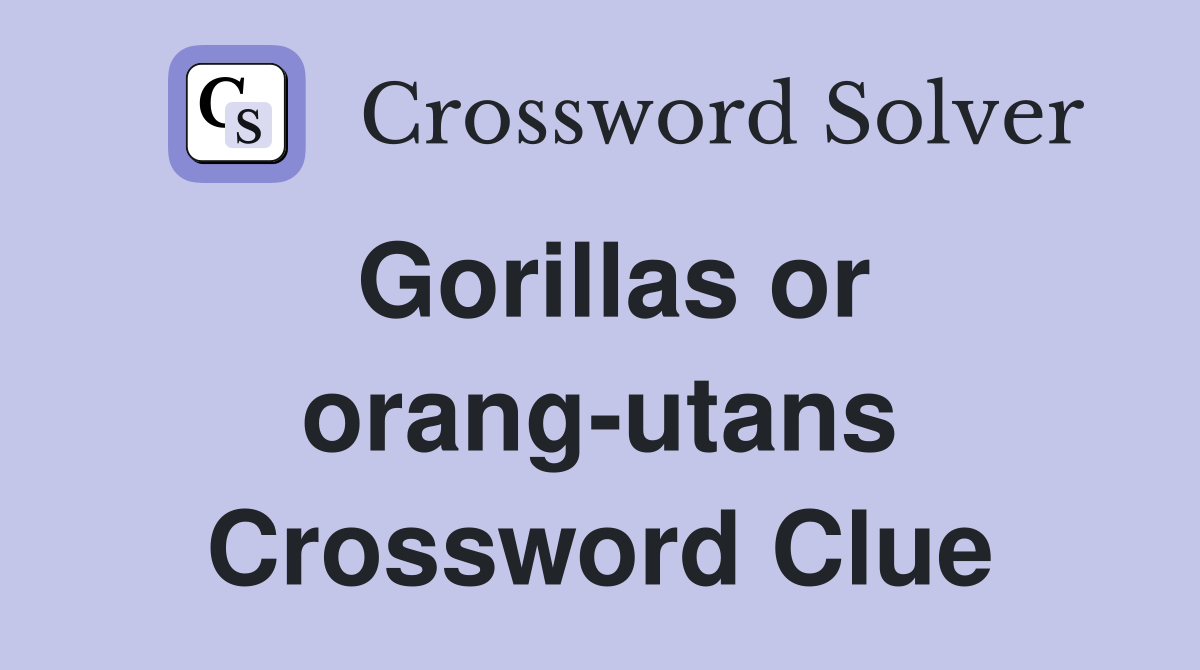 Gorillas or orang-utans Crossword Clue