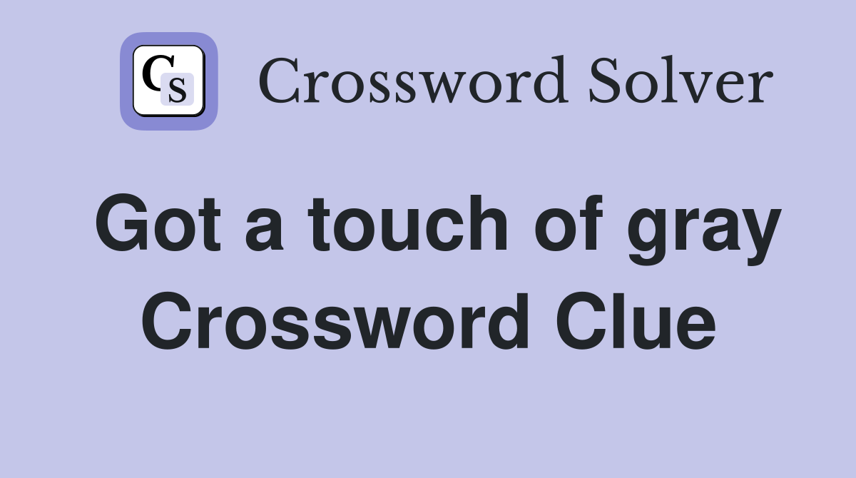 Got a touch of gray Crossword Clue