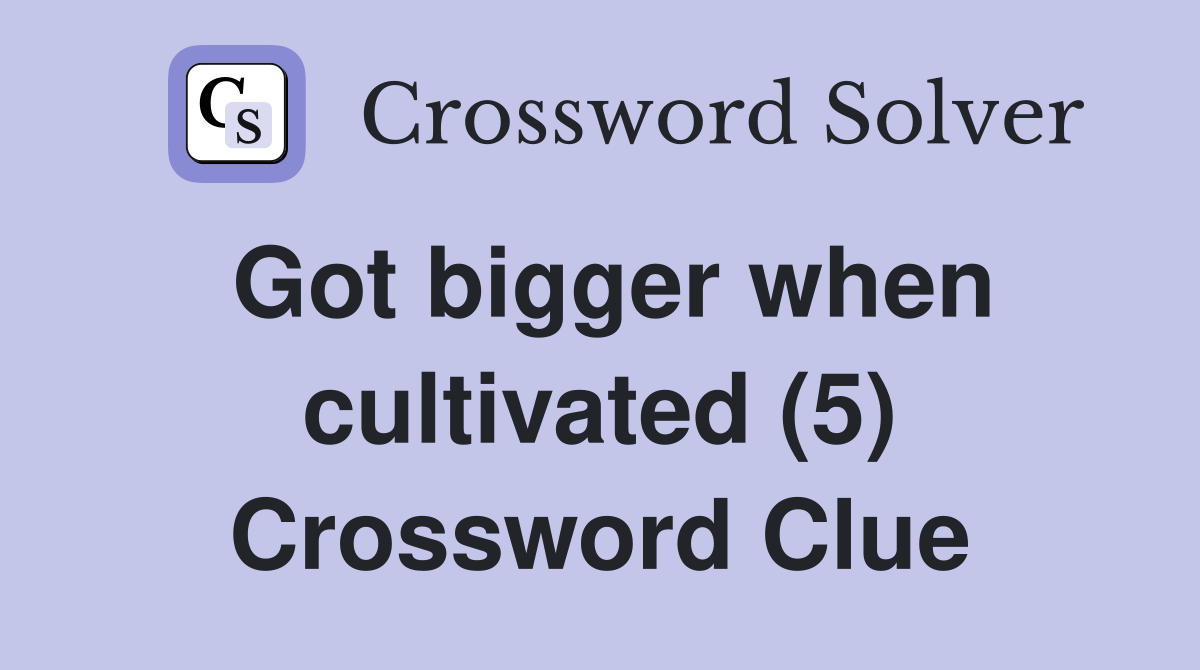 Got bigger when cultivated (5) Crossword Clue