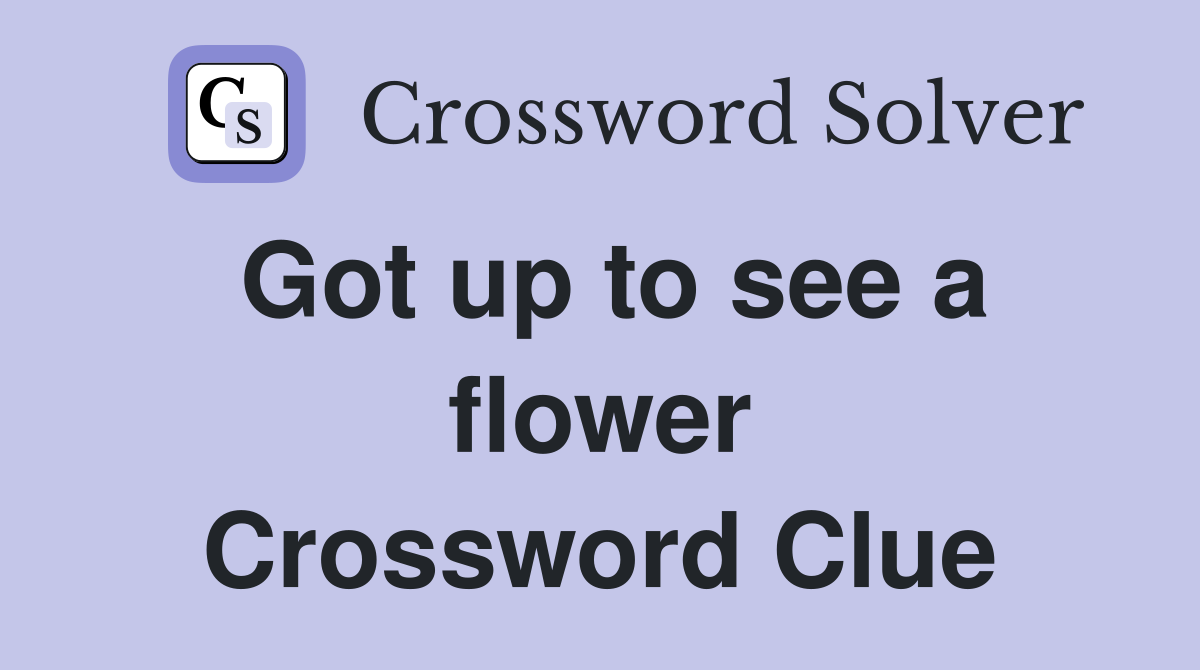 Got up to see a flower Crossword Clue