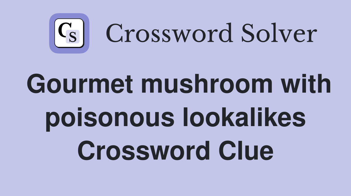 Gourmet mushroom with poisonous lookalikes Crossword Clue