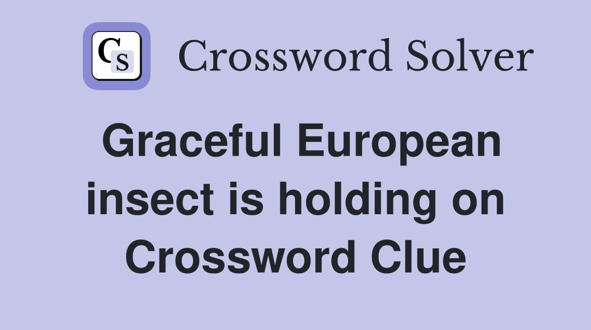 Graceful European insect is holding on Crossword Clue