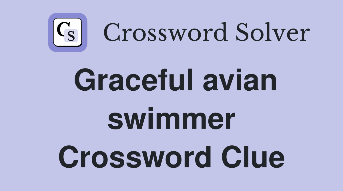 Graceful avian swimmer Crossword Clue