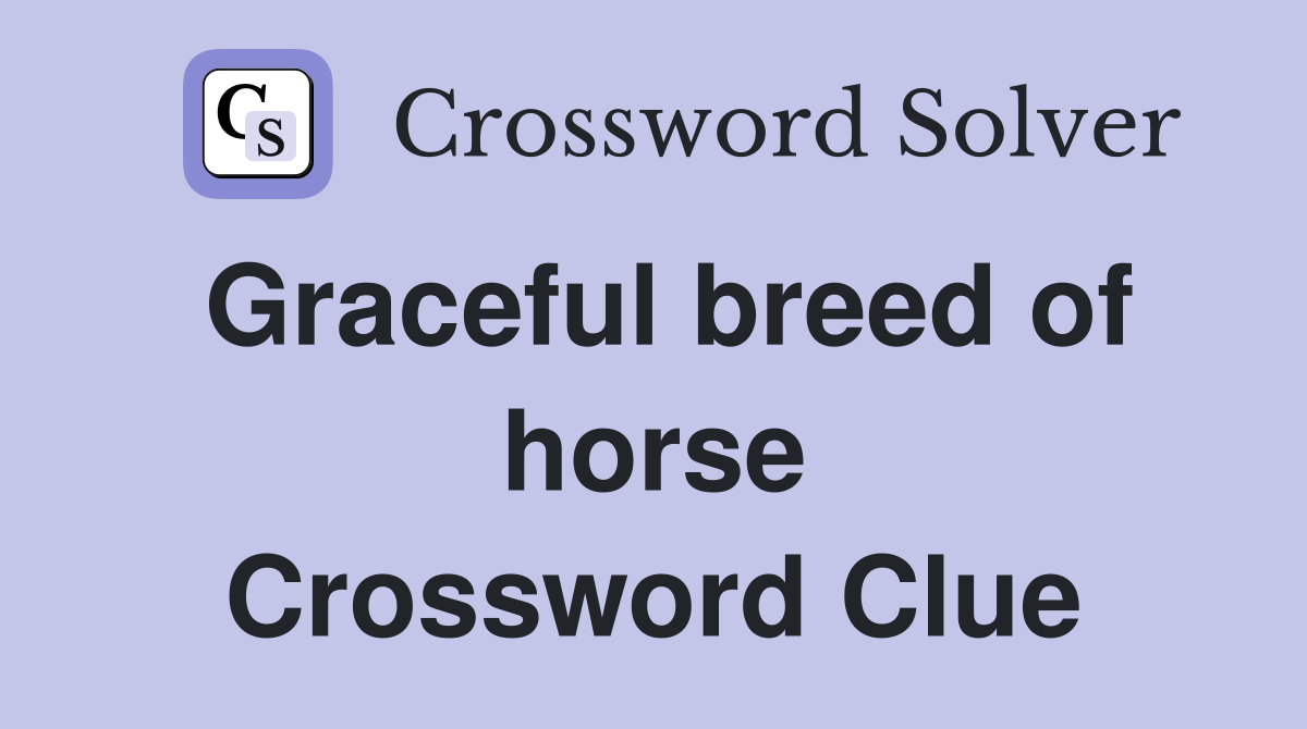 Graceful breed of horse Crossword Clue