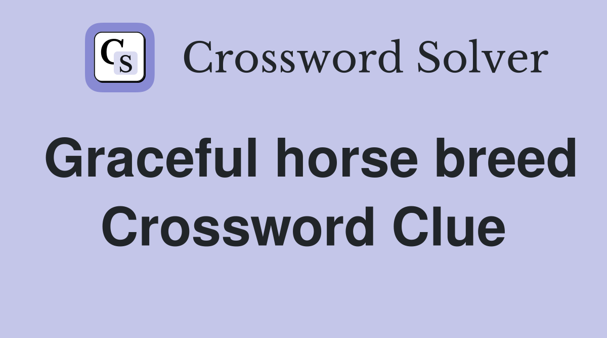 Graceful horse breed Crossword Clue
