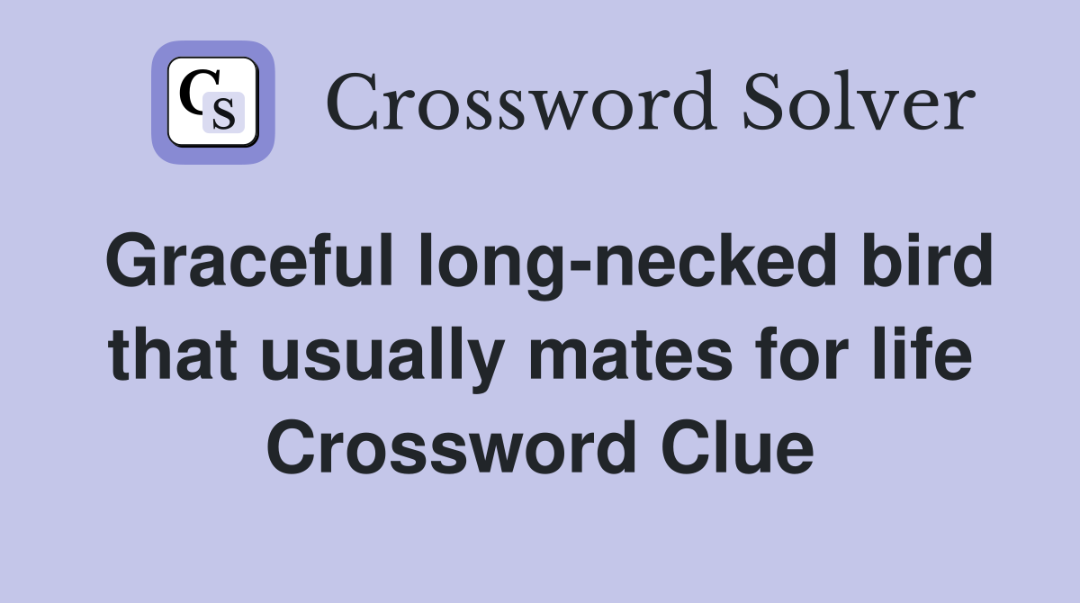 Graceful long-necked bird that usually mates for life Crossword Clue