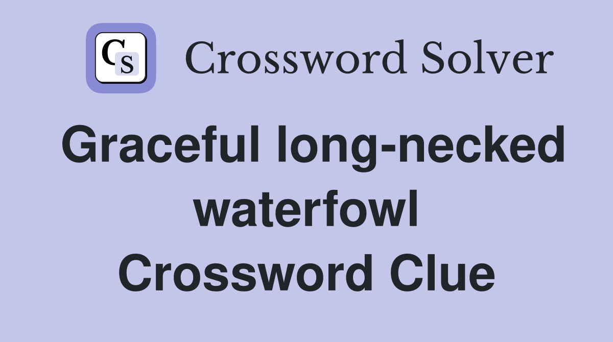 Graceful long-necked waterfowl Crossword Clue