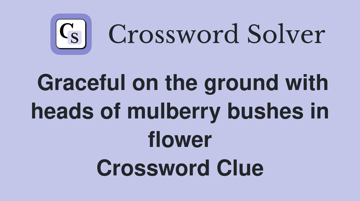 Graceful on the ground with heads of mulberry bushes in flower Crossword Clue