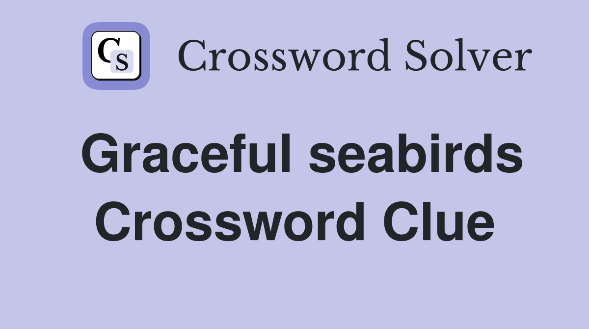 Graceful seabirds Crossword Clue