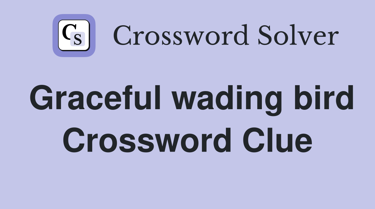Graceful wading bird Crossword Clue