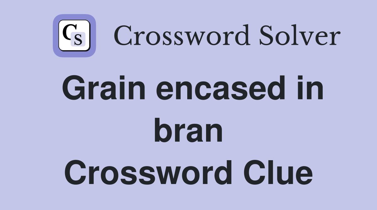 Grain encased in bran Crossword Clue