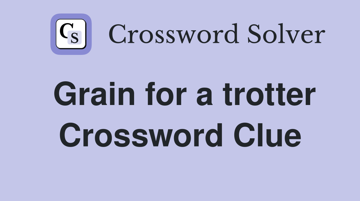 Grain for a trotter Crossword Clue