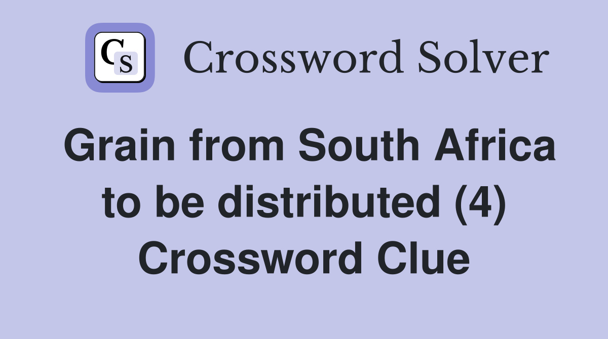 Grain from South Africa to be distributed (4) Crossword Clue