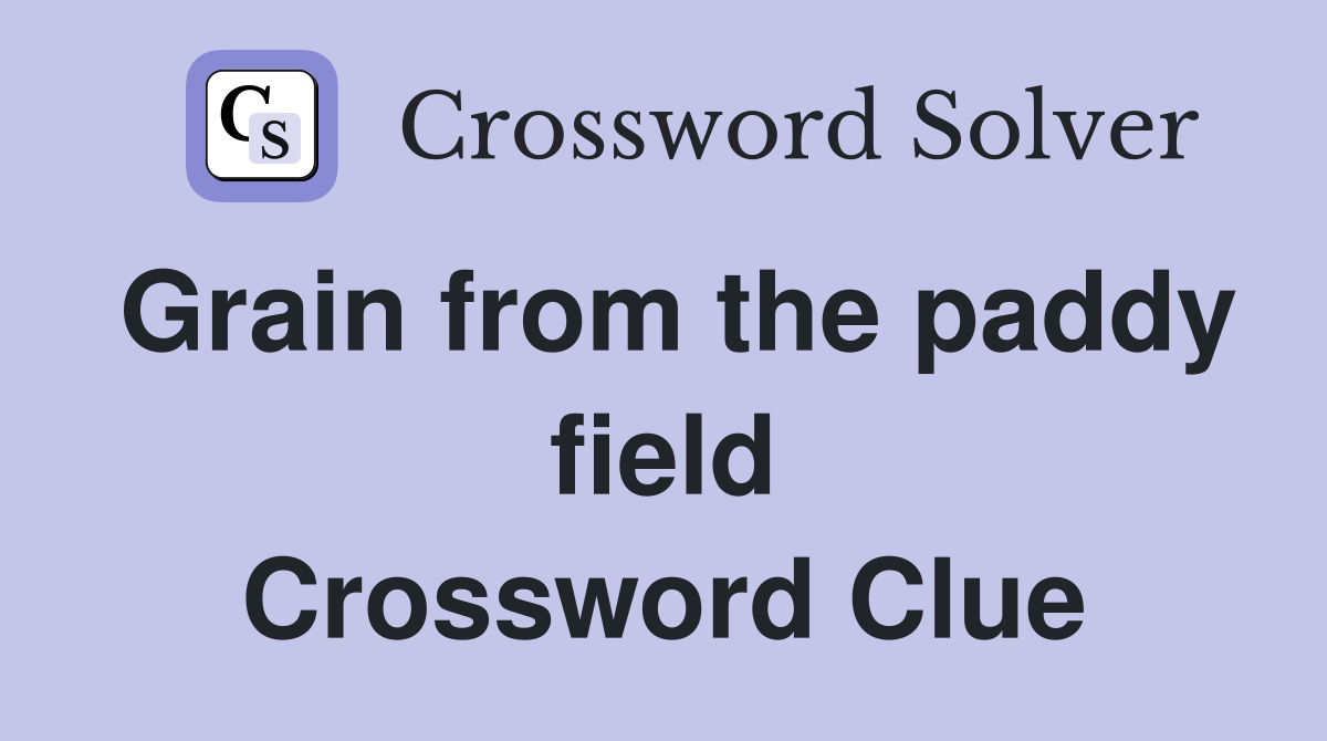 Grain from the paddy field Crossword Clue