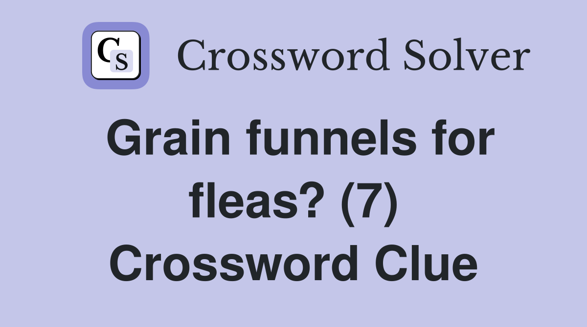 Grain funnels for fleas? (7) Crossword Clue