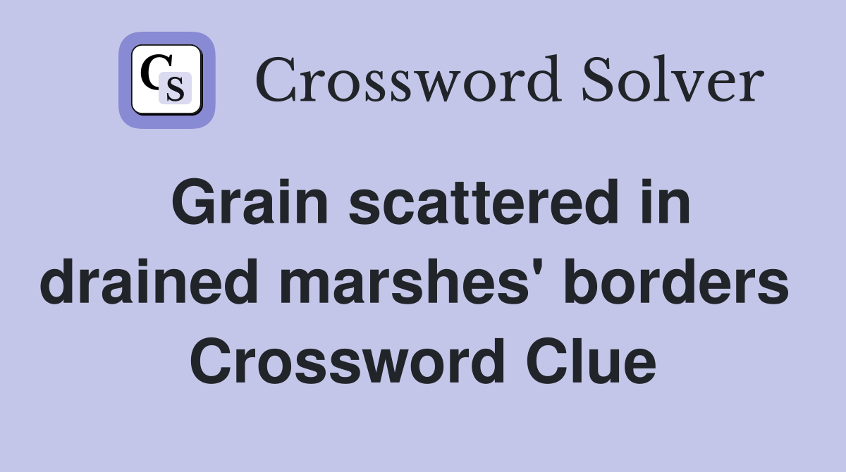 Grain scattered in drained marshes' borders  Crossword Clue