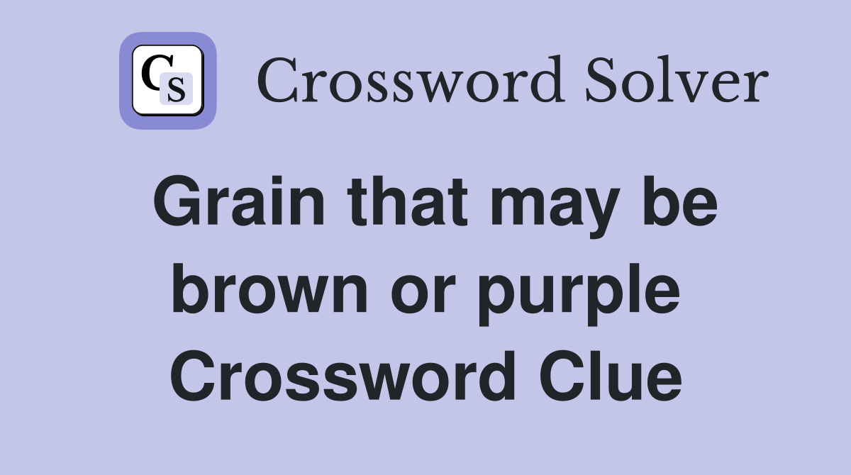 Grain that may be brown or purple Crossword Clue