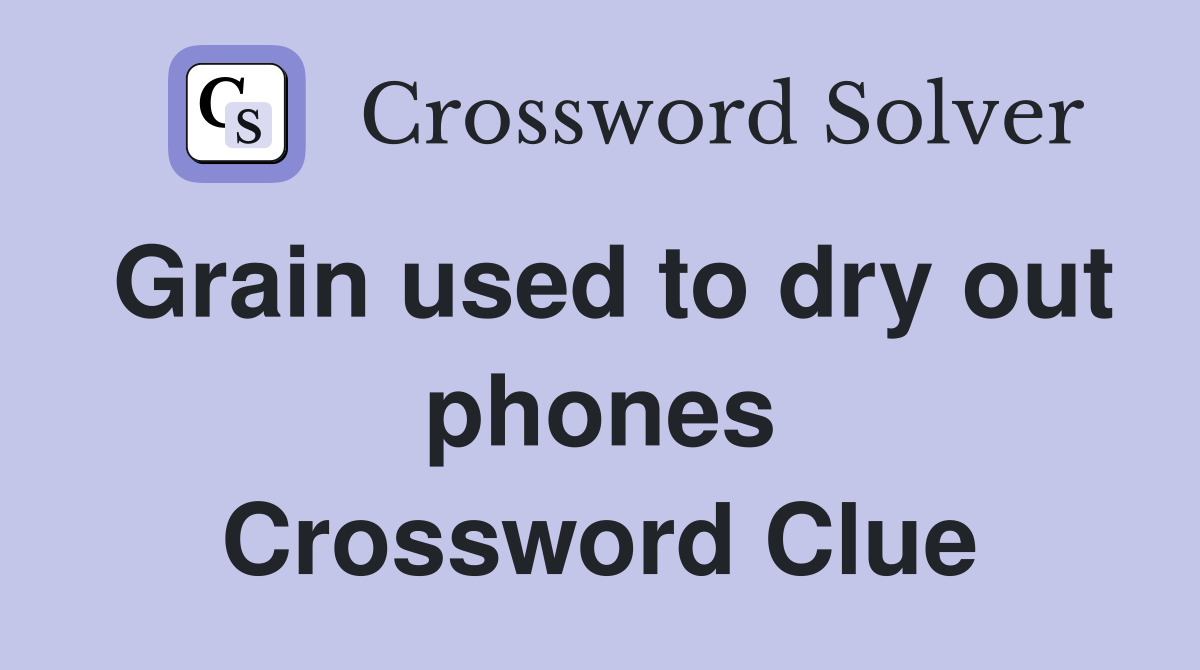 Grain used to dry out phones Crossword Clue