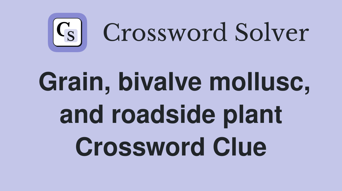 Grain, bivalve mollusc, and roadside plant Crossword Clue
