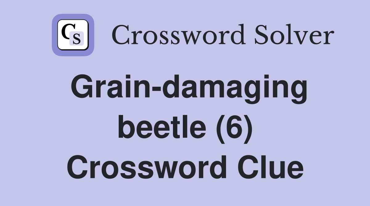 Grain-damaging beetle (6) Crossword Clue
