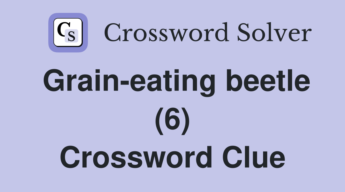 Grain-eating beetle (6) Crossword Clue