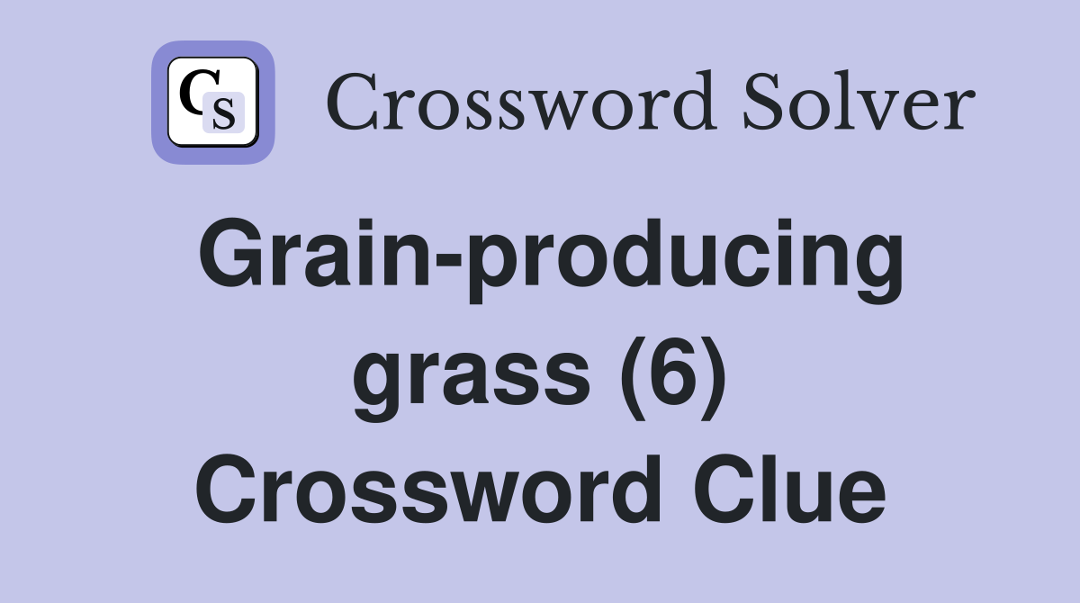 Grain-producing grass (6) Crossword Clue