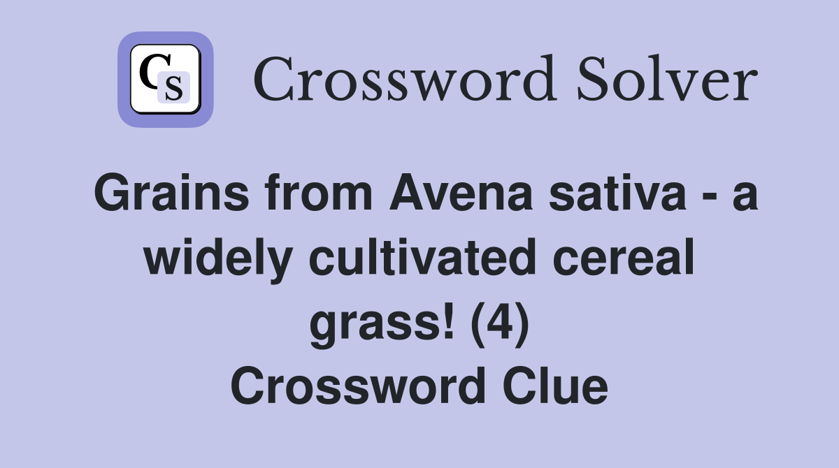 Grains from Avena sativa - a widely cultivated cereal grass! (4) Crossword Clue