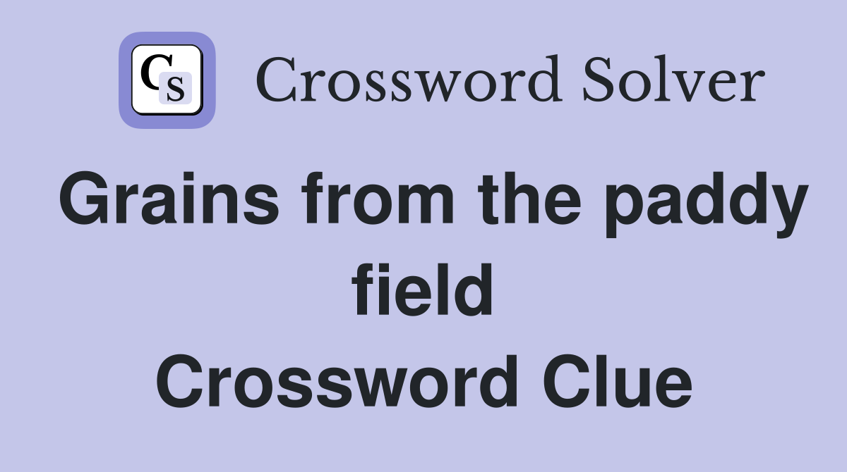 Grains from the paddy field Crossword Clue
