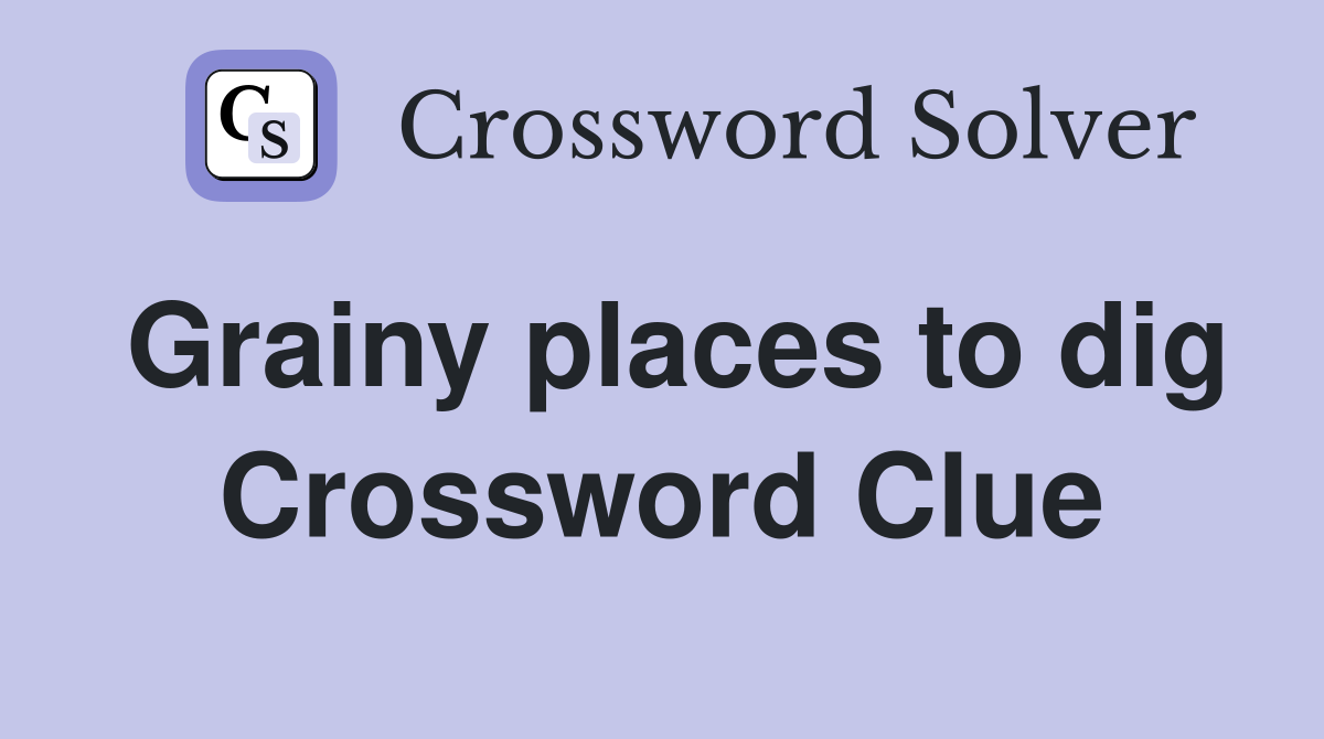 Grainy places to dig Crossword Clue