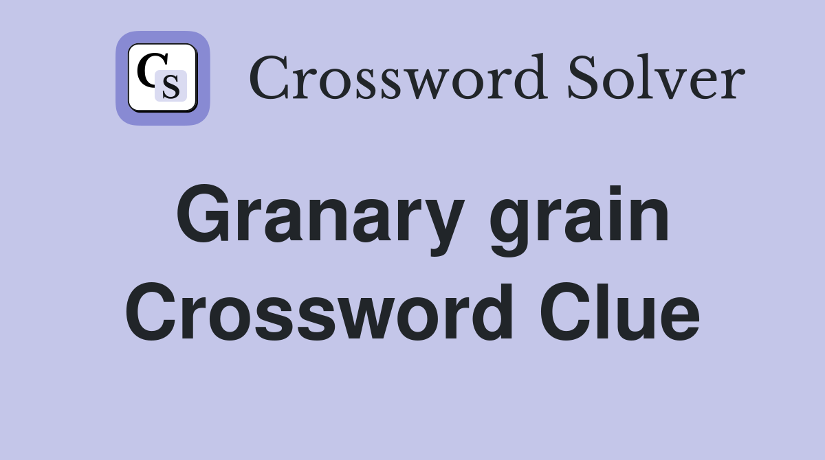 Granary grain Crossword Clue