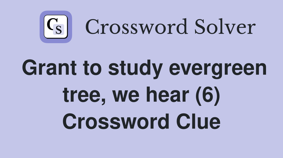 Grant to study evergreen tree, we hear (6) Crossword Clue