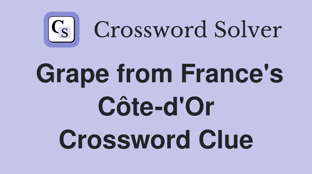 Grape from France's Côte-d'Or Crossword Clue