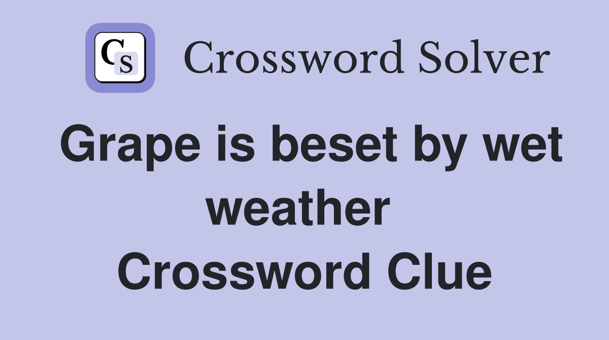 Grape is beset by wet weather  Crossword Clue