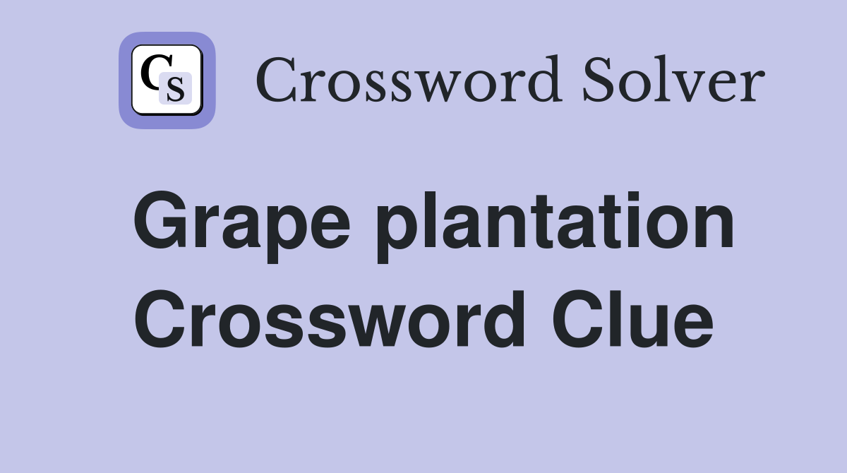 Grape plantation Crossword Clue