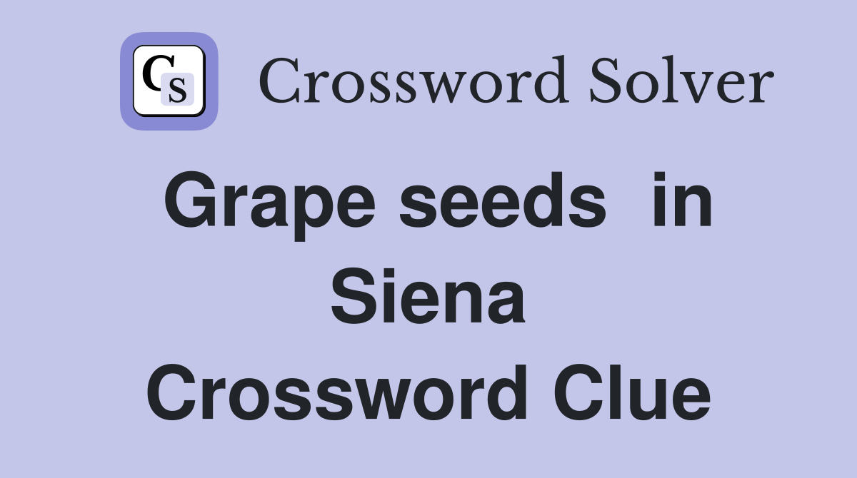 Grape seeds  in Siena Crossword Clue