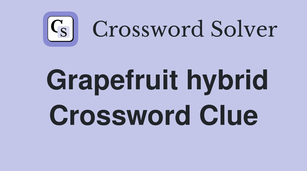 Grapefruit hybrid Crossword Clue