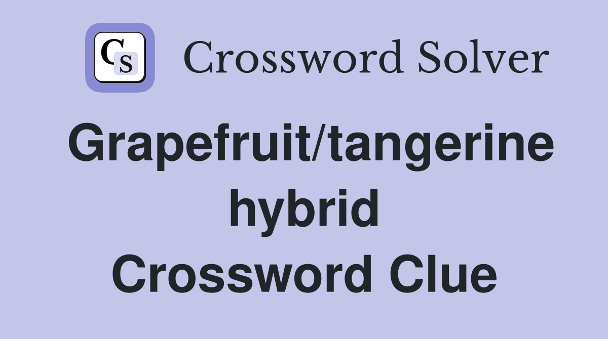 Grapefruit/tangerine hybrid Crossword Clue