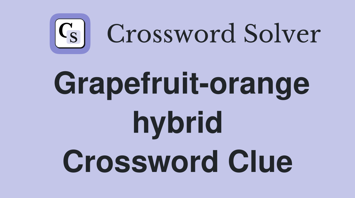Grapefruit-orange hybrid Crossword Clue