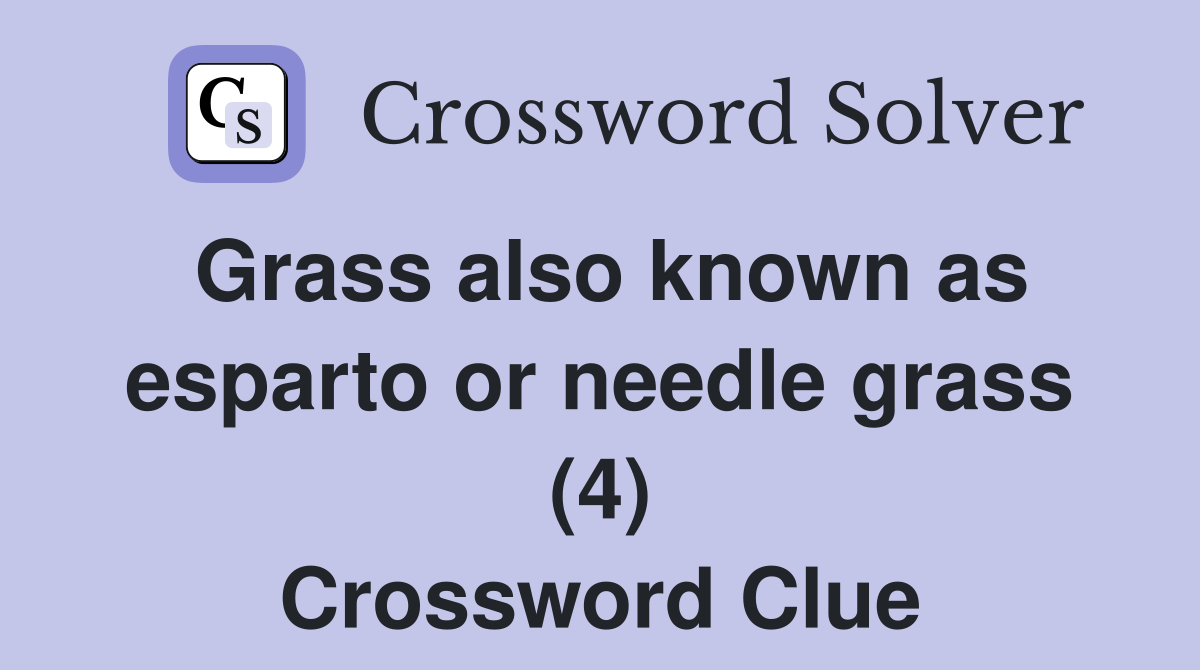 Grass also known as esparto or needle grass (4) Crossword Clue
