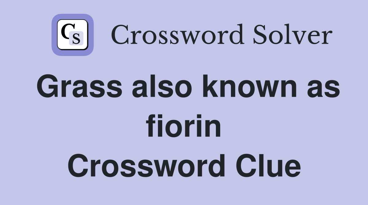 Grass also known as fiorin Crossword Clue