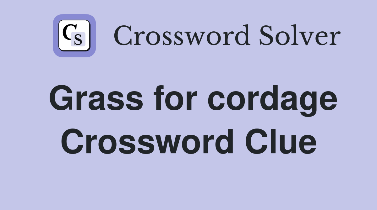 Grass for cordage Crossword Clue