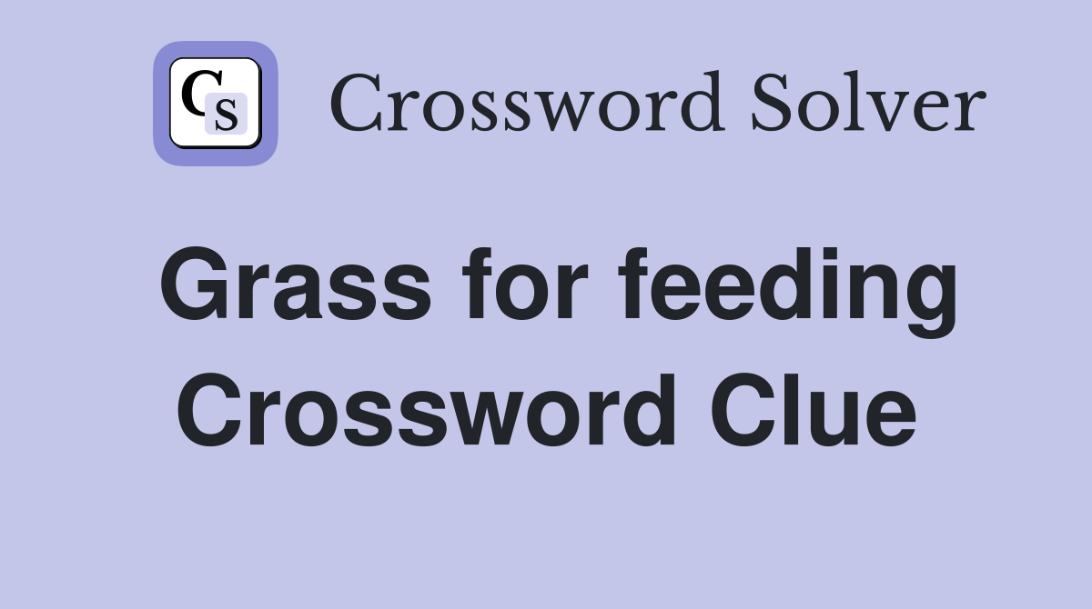 Grass for feeding Crossword Clue