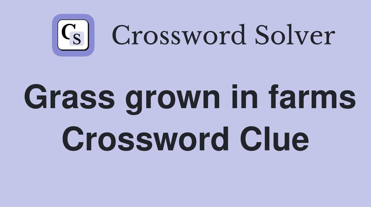 Grass grown in farms Crossword Clue