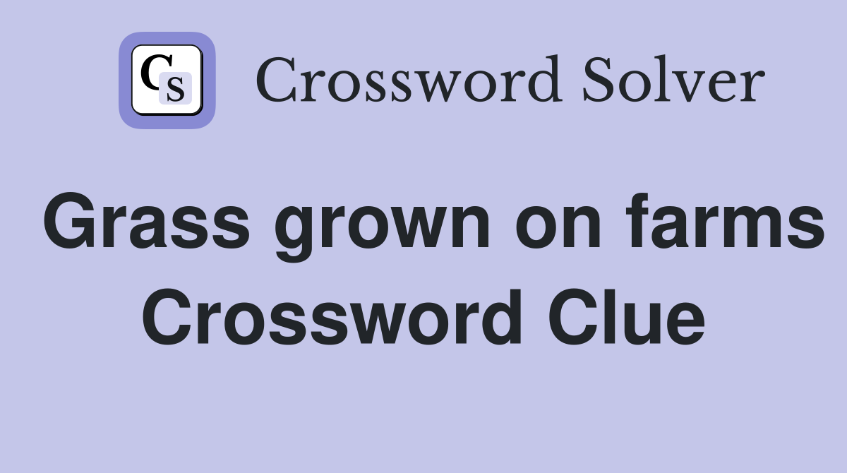 Grass grown on farms Crossword Clue